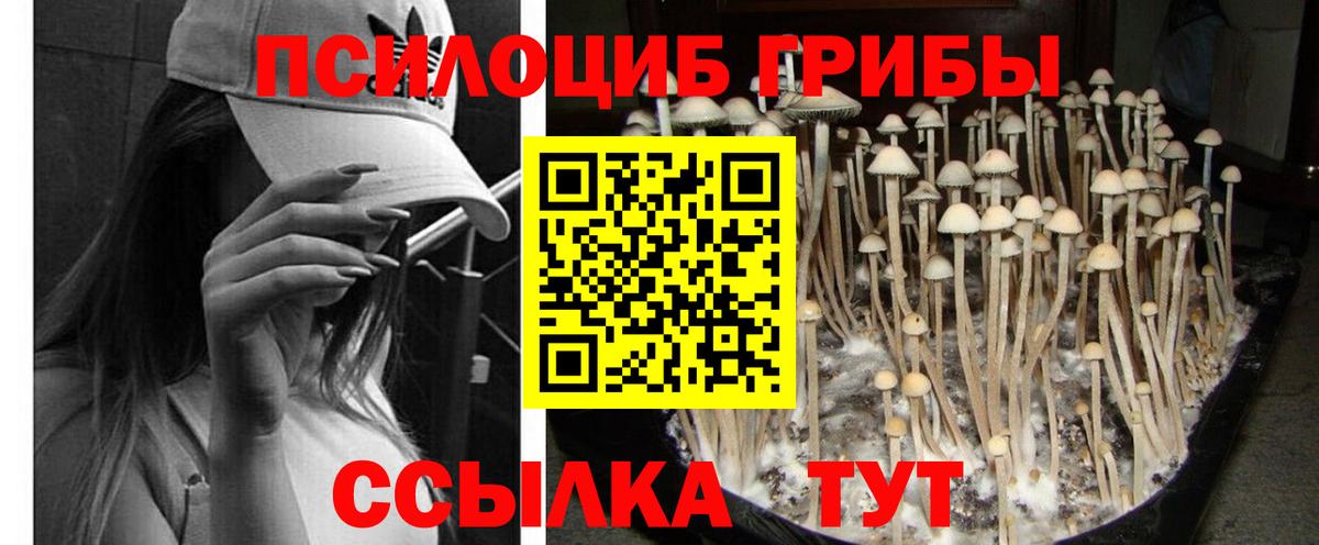 Галлюциногенные грибы MAGIC MUSHROOMS Рязань
